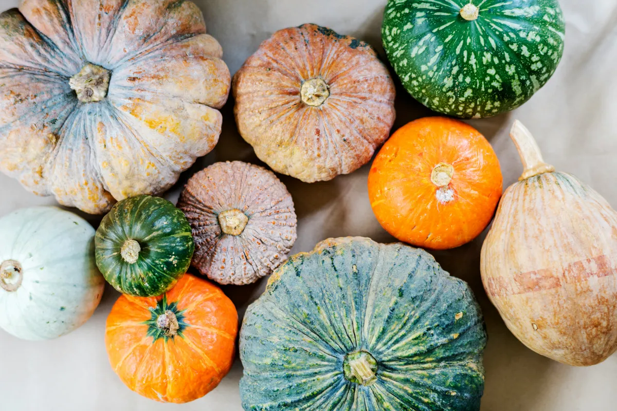 Assorted winter squash varieties in green, orange and pale blue seen from above