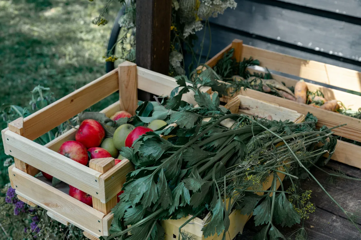 Wooden crates of fresh red apples stacked at an outdoor market
