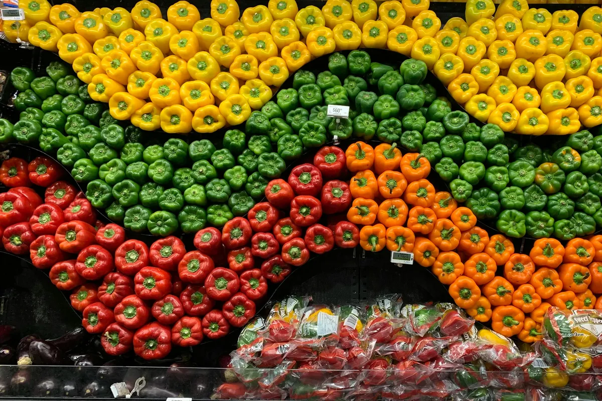 Rows of red and green bell peppers piled high in market crates